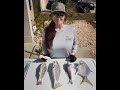 How to Clean and Fillet Fish - Pompano and Whiting