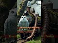 abandoned locomotive nature reclaims rusting steam train in 8k owl scorpions shortvideo bir