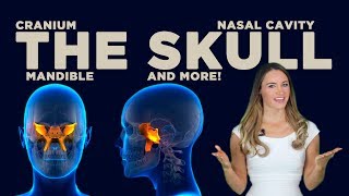 The Skull: Nasal Cavity, Mandible and More!