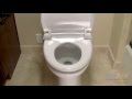 Bio Bidet USPA 6800 Bidet Review - bidetsPLUS.com