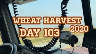 Wheat Harvest 2020 - Day 103