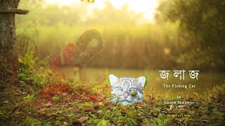 জলাজ || JALAAJO: The Fishing Cat  || Ecodocumentary by Kaushik Mukherjee