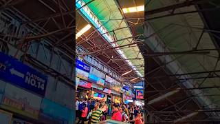 দেখুন শিয়ালদহ রেল স্টেশনে কত বড় পাখা😳 #viral #nature #sealdah #railway #tending #shorts #miniblog