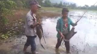 Traditional Bird Trapping in Cambodia - How To Make Birds Trap Easily Cambodia National Geographic