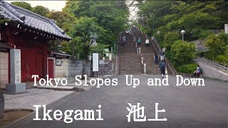 Tokyo slopes up \u0026 down 東京坂道散歩　Ikegami 池上