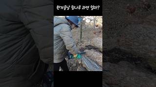 시골 겨울 난방비 내년까지 얼마면 될까?