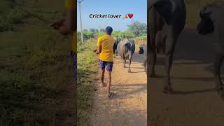 Cricket lover ♥️🏏 #cricket #reels #shorts #trending #viral #top #ytshorts #iabhicricketer