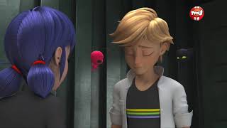 Worst Day Of My Life