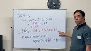 腰痛の人は多裂筋が萎縮してますよ‼️