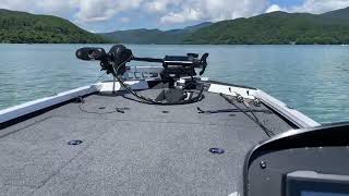 Vexus Boat AVX189 with Evinrude ETEC G2 115