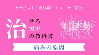 痛みの原因の８５％は？／治せる治療家の教科書【AKS治療®︎アカデミー】山内義弘