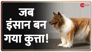 Viral Video: क्यों बनवाया 12 लाख में कुत्ते का कॉस्ट्यूम? | Japan | World News | Deshhit