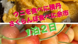 大好きなウニを食べに積丹へ〜さくらんぼも食べたいし…