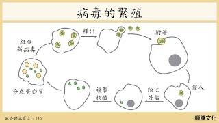 108基生 探討活動3-2病毒在生物分類系統的歸類問題