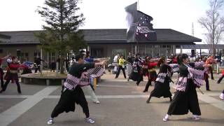 総踊り黒田武士