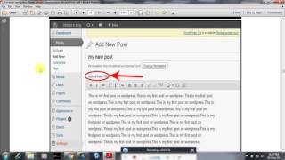 Advance wordpress theme plugins Development Bangla 3
