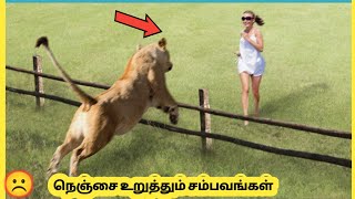 கல் நெஞ்சை கரைக்கும் சம்பவங்கள் #8 | Moments When Animals Messed With the Wrong Enemy #3