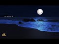 Ocean Waves Under the Moon - The Most Relaxing Waves Ever, Ocean Sounds to Sleep, Study and Chill