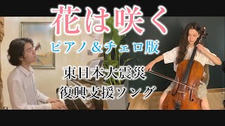 花は咲く～ピアノ＆チェロ版～(阮揚揚&李拉)東日本大震災復興支援ソング