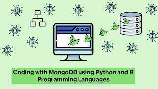 Coding with MongoDB using Python and R Programming Languages