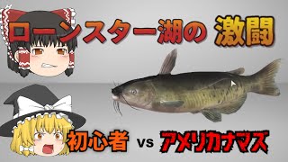 【フィッシンングプラネット】初心者がアメリカナマズを釣るまでの奮闘を描いた　ロースター湖の激闘