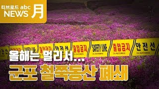 [군포] 올해는 멀리서... 군포 철쭉동산 폐쇄