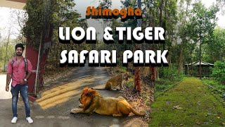 Lion and Tiger Safari in Shimogha - ShimogaTourist Places - Karnataka Tourism - Tyavarekoppa