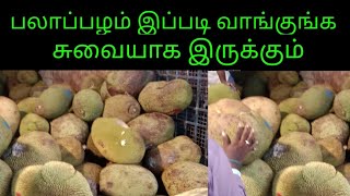 நல்ல சுவையான பலா பழம் வாங்குவது எப்படி/how to buy good jackfruit