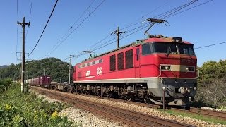 【山陽本線】JR貨物　EF510-9号機　レッドサンダー　2015.10.18