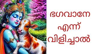 ഭഗവാനേ എന്നു വിളിച്ചാൽ മതി #guruvayurappan #astrologymalayalam #guruvayurtemple #guruvayur #krishna