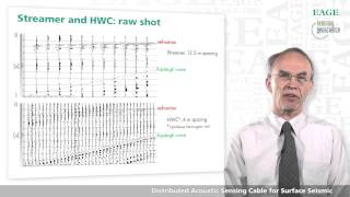 EAGE E-Lecture: Distributed Acoustic Sensing Cable by Kees Hornman