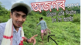 বম ডাঙৰ সাপ - Hatibondhu and Human 🐘🐘