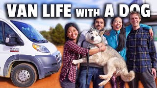 BEST Promaster 2500 Van Tour with a Dog | Perfect for Digital Nomads
