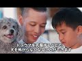 犬に嫌われる人の特徴と嫌われないようにする対策