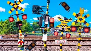 【踏切アニメ】信号機によく似たふみきりカンカン😂😂😂Railroad Crossing That Resembles a Traffic Signal