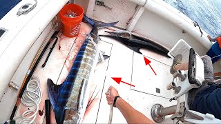 Double Striped Marlin Deep Sea Fishing In Hawaii!!