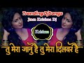 Tu Mera Janu Hai (Remix) |Instagram Trending Song| Remix