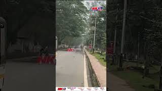 গুৱাহাটীৰ সাতগাঁৱত বন্যহস্তীৰ মুক্ত বিচৰণ