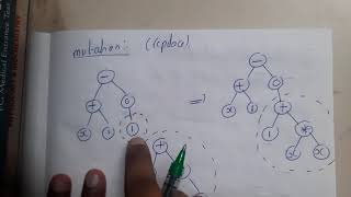 4.5 Genetic Programming