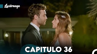 Luciérnaga Capitulo 36 (Doblado en Español) FULL HD