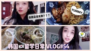 韩国VLOG | 韩国大学的留学生活（feat.大四第一周、准备研究生申请）| #54