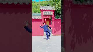 Wudang Kungfu 太乙拂尘 #kungfu #wudang #martialart