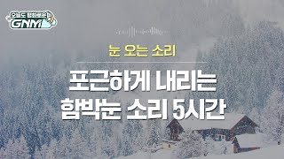 눈 내리는 소리 5시간, ASMR, 힐링, 눈소리 ㅣ 소복하게 쌓이는 함박눈 내리는 소리