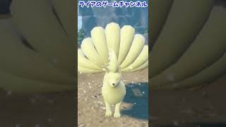 【ポケモンSV】キュウコン ポケモンウォッシュ【ピクニック演出】#shorts