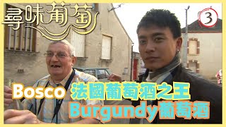 TVB飲食節目 | 尋味葡萄 03/06 | 遊走波爾多 | 黃宗澤、葉澍堃、郭偉信 | 粵語中字 | TVB 2009