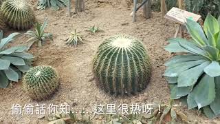 南昆山溫德姆溫泉酒店(國際5星級) Part 1｜美味假期 ｜私家溫泉池房 | 羅湖口岸集合 ｜ 惠州植物園