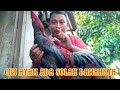 CIRI CIRI AYAM YANG ADA MAIN SOLAH BAWAHNYA