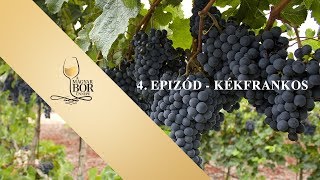 Magyar Bor Ünnepe - Kékfrankos (4. epizód)