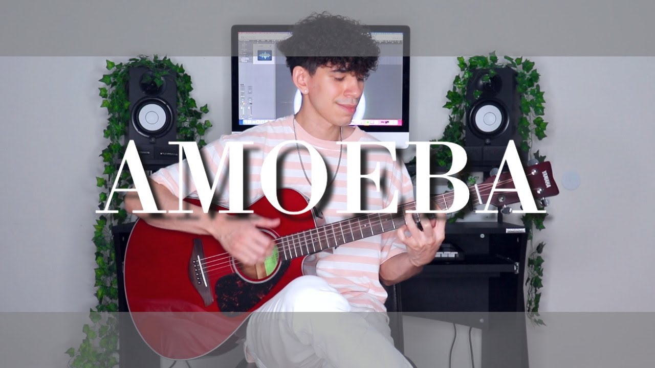 Amoeba - Clairo | Fingerstyle Guitar Cover | TABS - YouTube