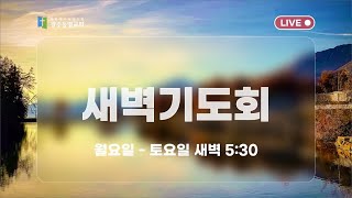 광주동명교회 새벽기도 (LIVE)